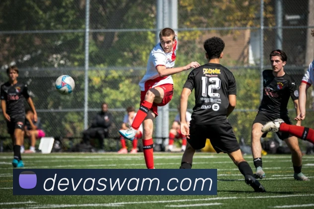 多媒体互动体验